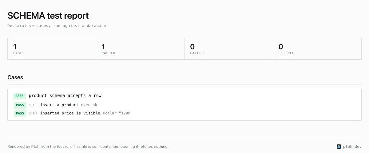 A schema test report showing one case passed and both steps passed.